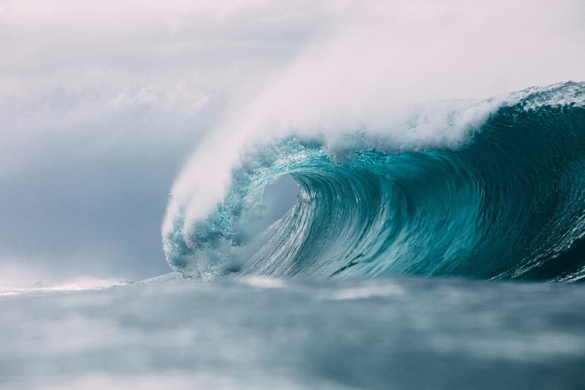 The Eddie Swell